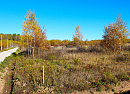 Конюшино - Луговая, Лесная - Фото 3